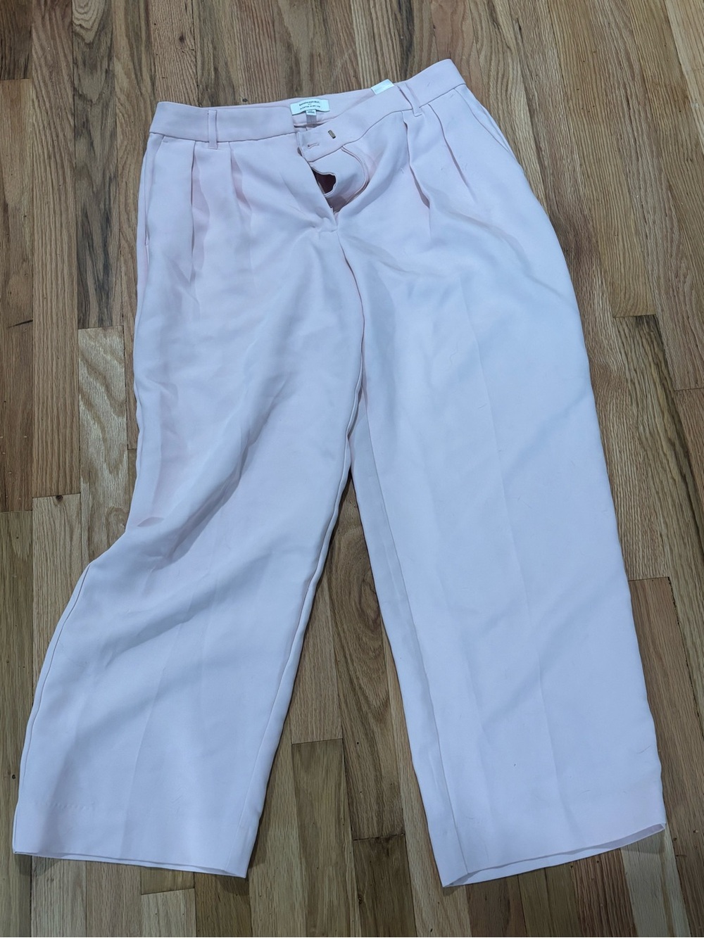 Banana Republic Pale Pink Pleated Wide-Leg Trousers